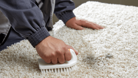 Professional Rug Cleaning Tecoma